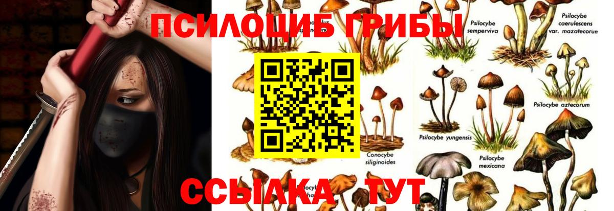 Галлюциногенные грибы Magic Shrooms Ахтубинск